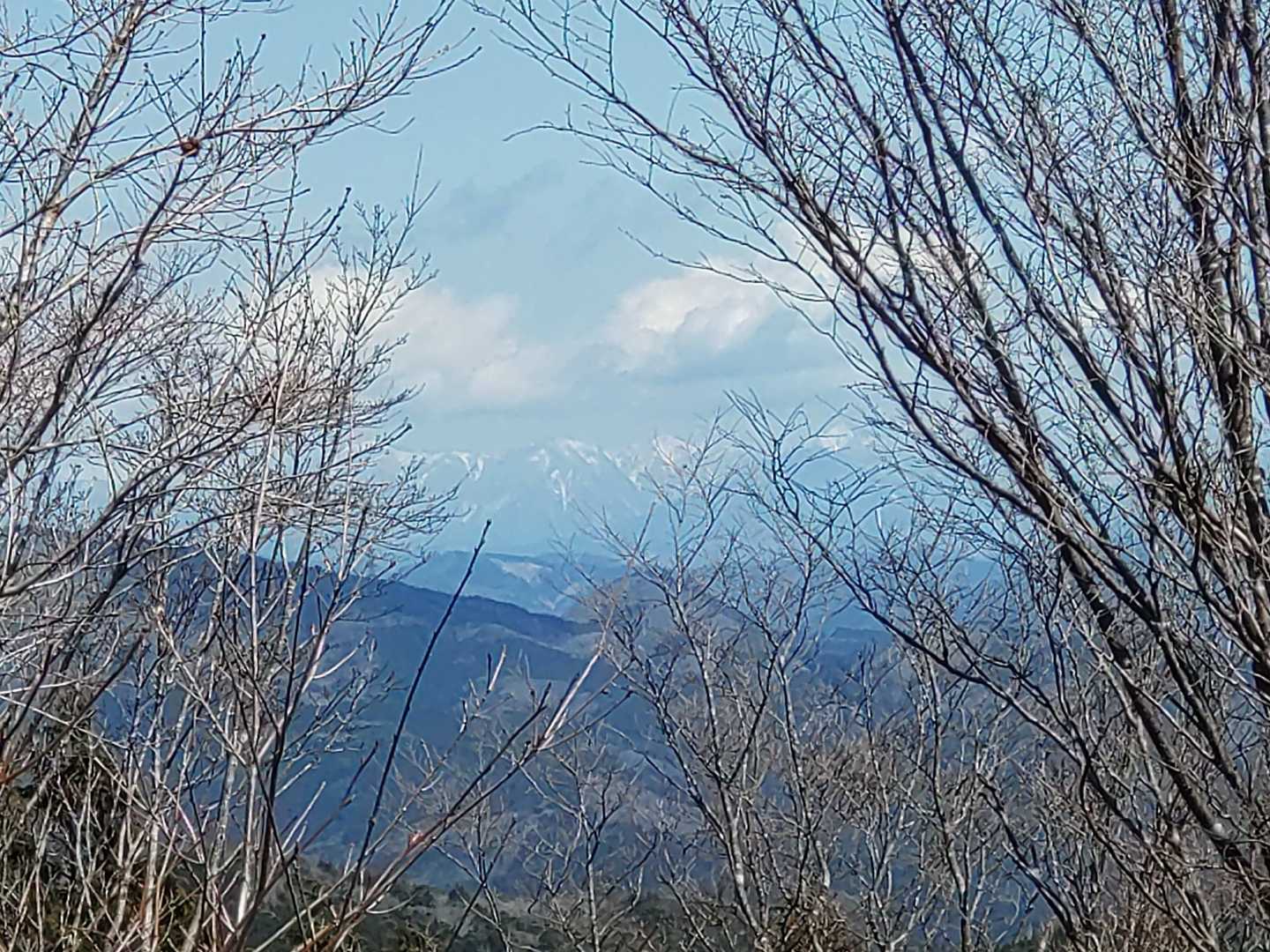 駒ヶ原登山口-鷹ノ巣山 往復コースの写真