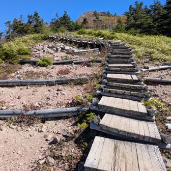 登頂手前の木道階段キツかった