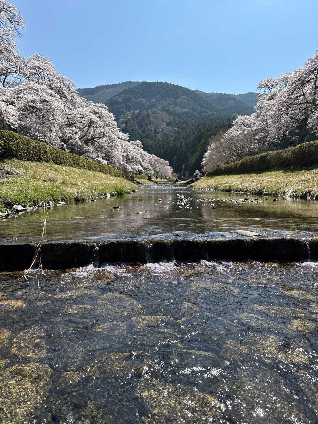 能登ヶ峰-鹿の楽園 往復コースの写真