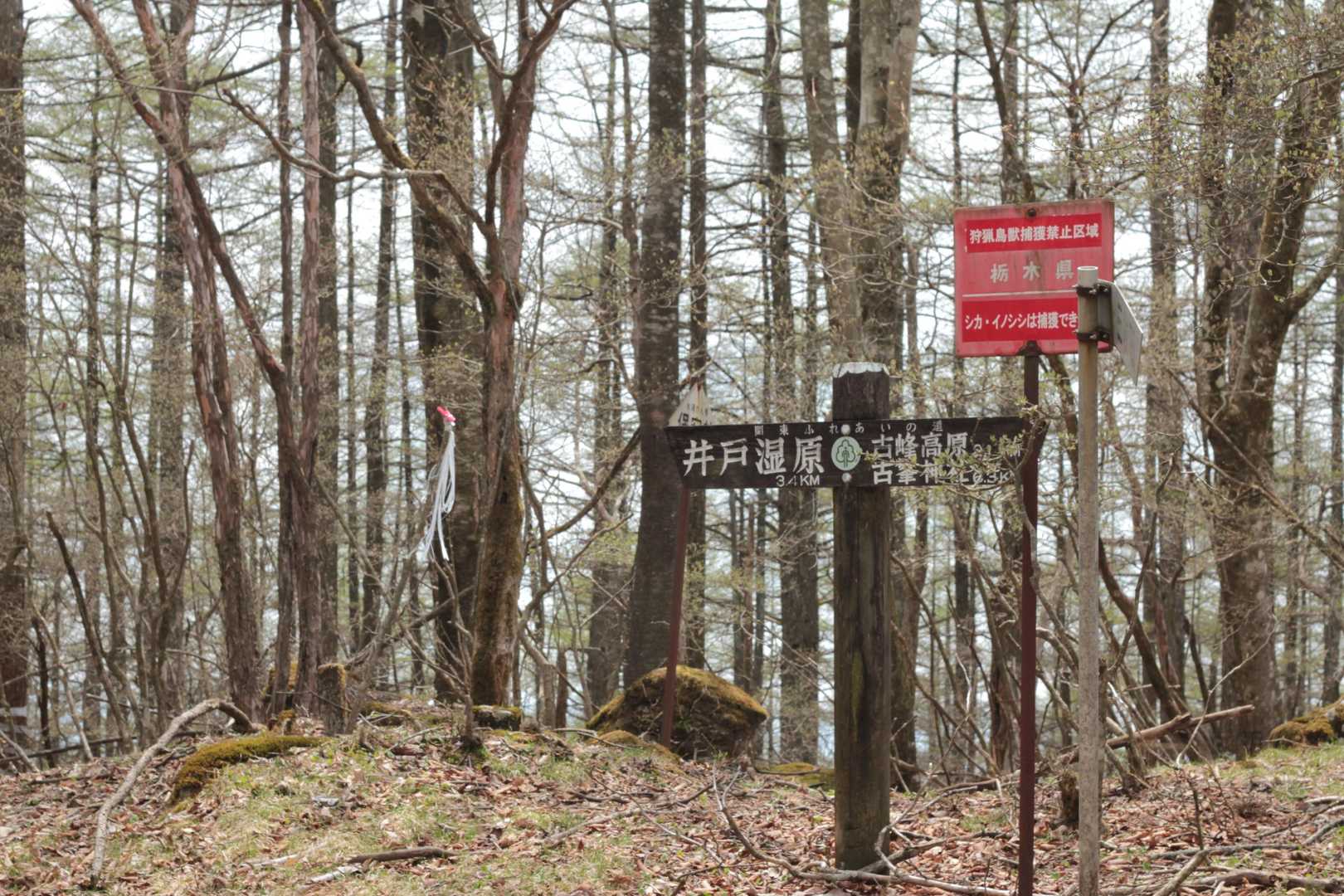 古峰原-方塞山 往復コースの写真