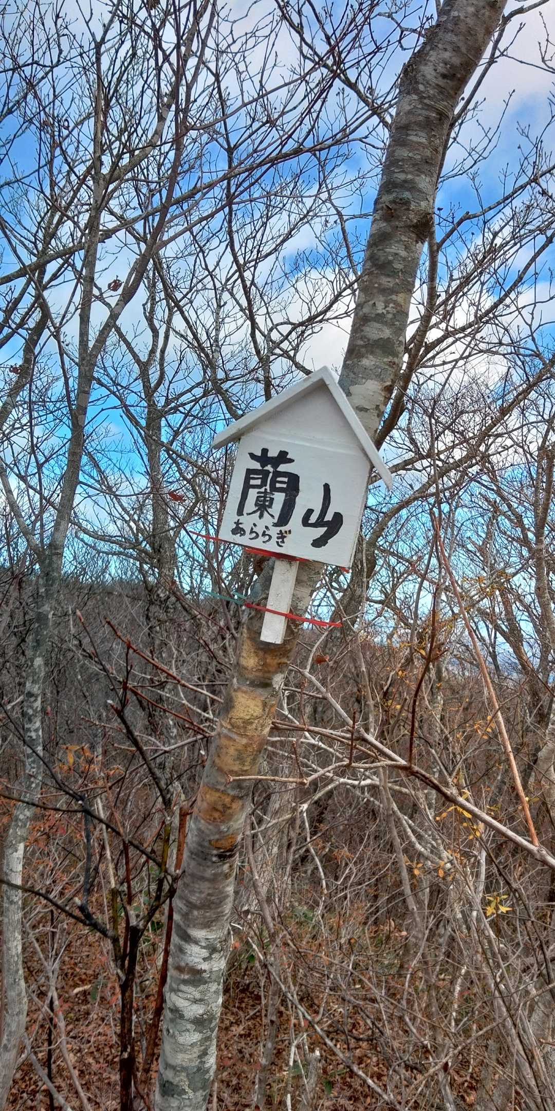 蘭山の写真