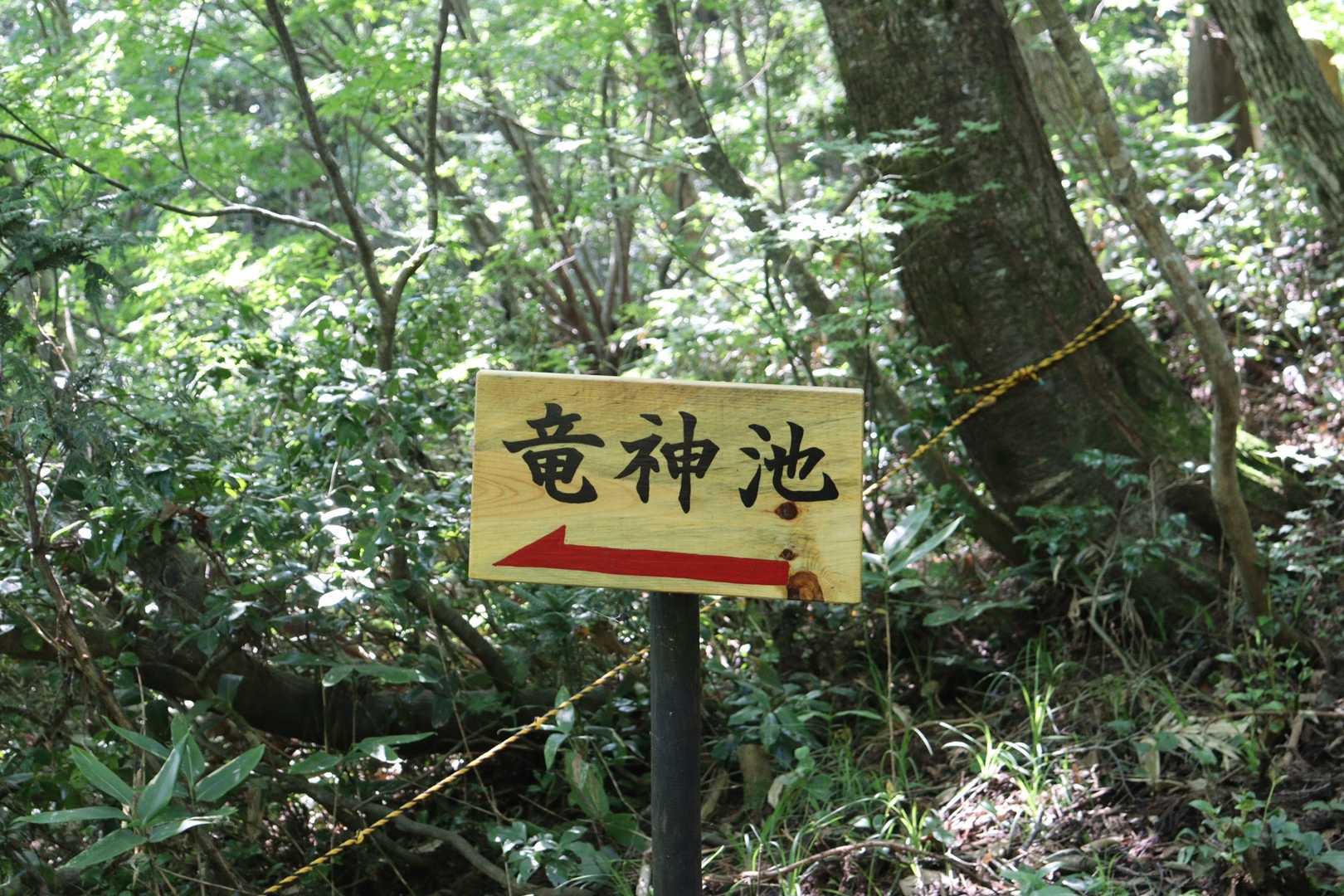 ここを通るのは今年3回目ですが、この看板初めて見ました。春には無かったような。今日は寄らずに行きます。
