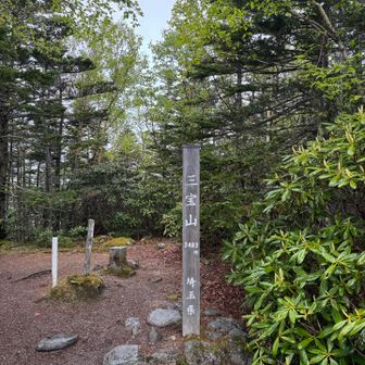 仲間と別行動して三宝山へ