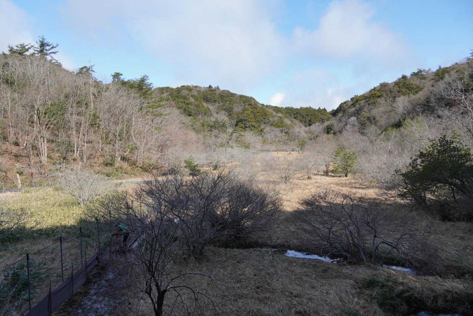 湿原なんだけど乾燥気味？