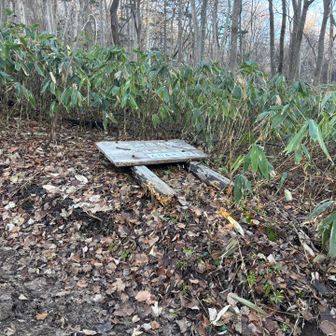 看板が倒れてる。