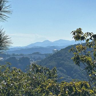 肉眼ではなんとか富士山見えてたのだけど...