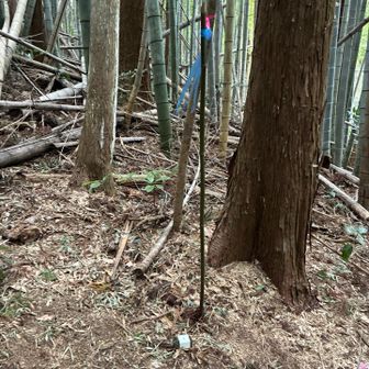 猪とか鹿がよくピンテを千切ったり

ピンテつけた棒を倒してしまいます💦

棒が倒れてしまうと作業の際、
探すのが大変になっちゃうので🐼

ほいっとな‼️