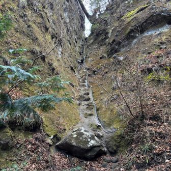 私3回目だったような