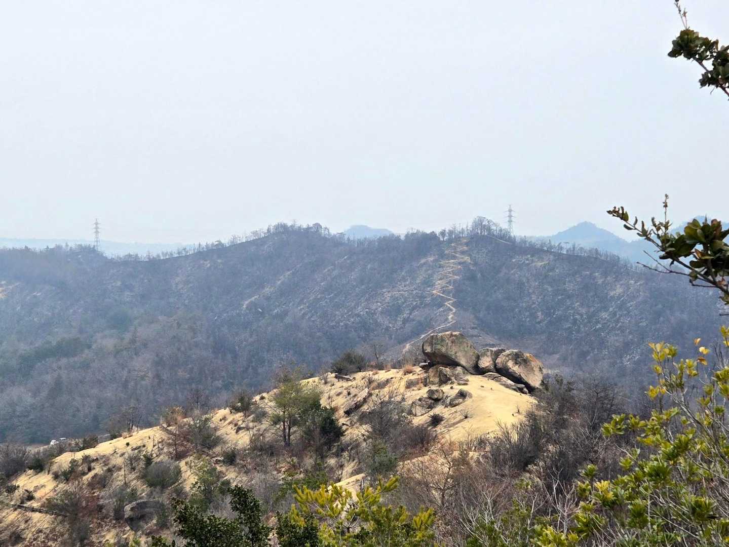笠松山に向かいます🥾⛰️
あの正面のくねくね道が気になる🤔