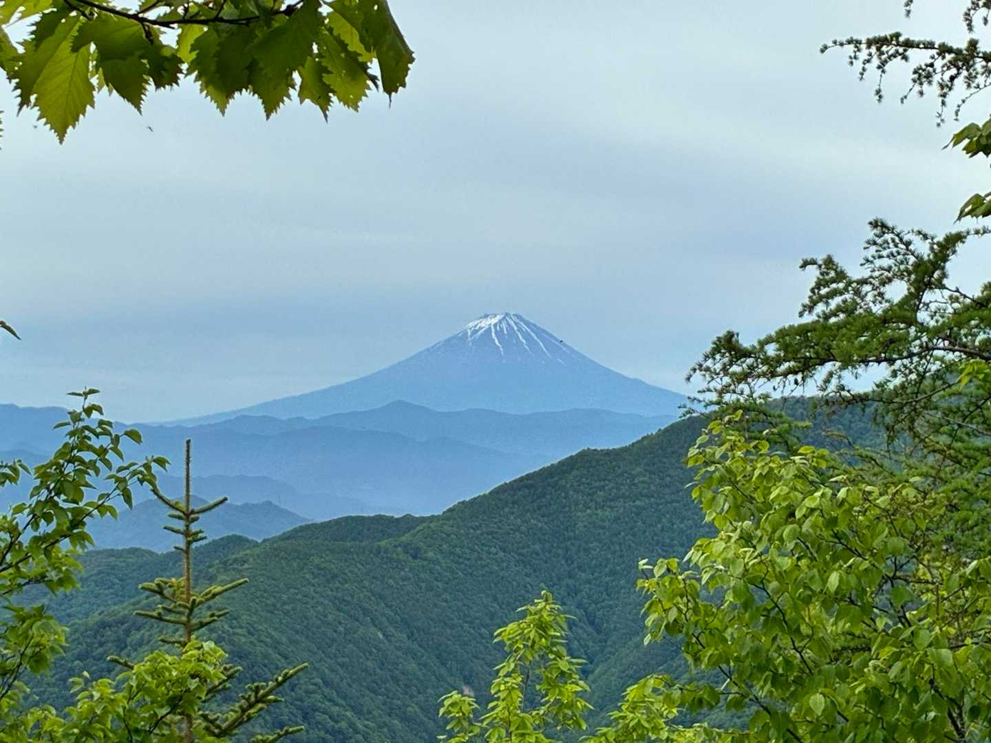 薄曇りだけど、富士山見えてる