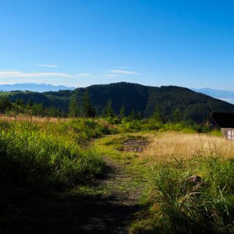 塩くれ場から茶臼山への
分岐を見送って
アルプス展望コースへ