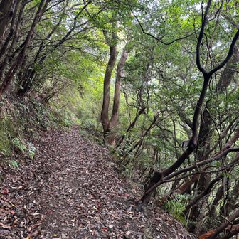 下山は足元に注意しながらサクサクと。