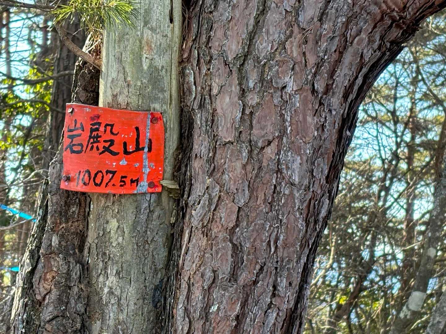 山頂