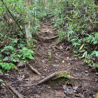 谷を上がって最後の登り