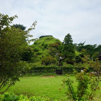 狭山富士ってなんかかわいい