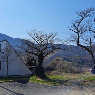 登山者らしきは私だけ