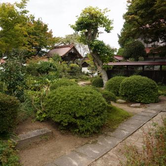立派なお庭です