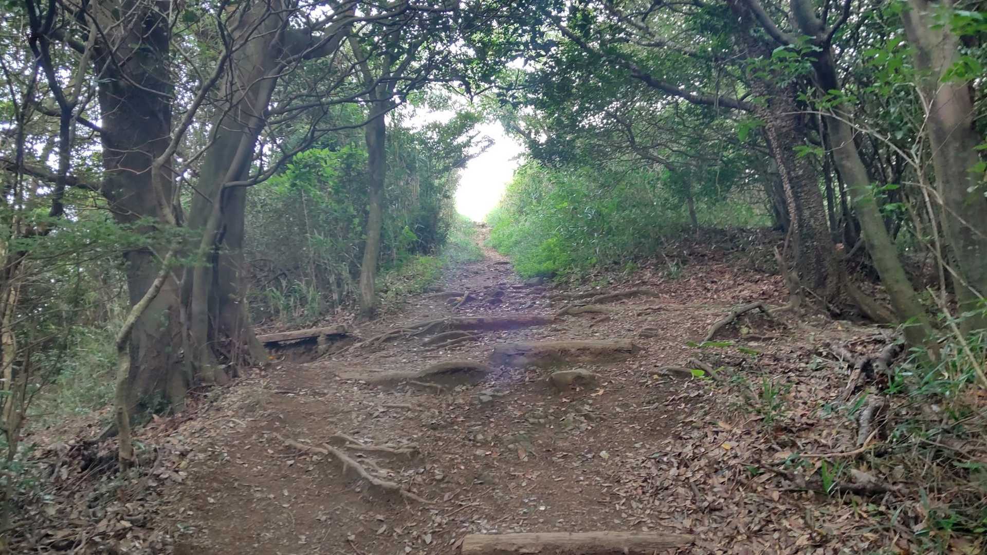 先が明るく見える。
小文字山山頂か？