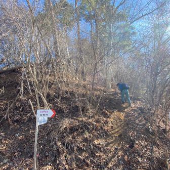 ここから登山道