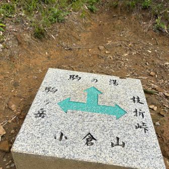 小倉山