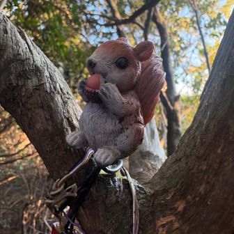 これも見つけにくい山頂表示の上のリス🐿️
このところ、よく見る
今朝登った山でも見たな‥
