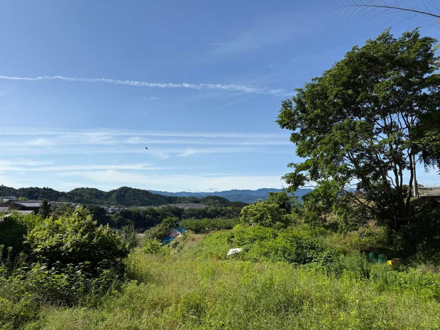 高野山方面　良い天気！