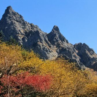 大天狗、小天狗を仰ぎ見る。
山頂付近は紅葉真っ盛り
風もなく雲もなく最高の秋晴れだ。
二日間で数百回はシャッターを切ったであろう。