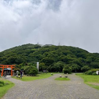 2年前に来た時は、ミヤマキリシマの終盤の頃だったな。