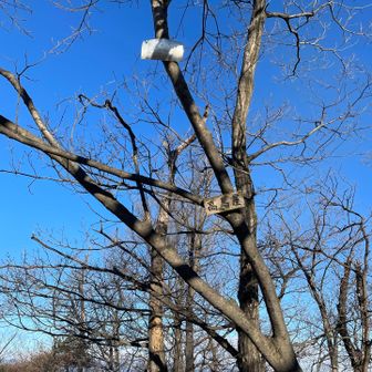 急登の先にある高鳥屋