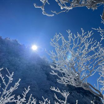 霧氷+青空+太陽