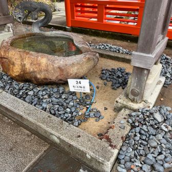 玉砂利を1つ1つ磨いて大掃除されてました。大変！