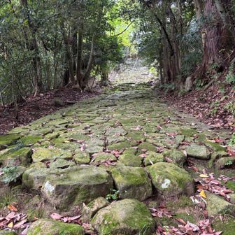 神社へ続く道
濡れてる石の上は滑りやすいので注意です⚠️