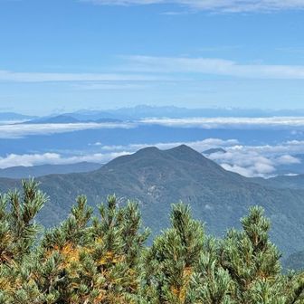 ここからも槍穂高🥰
此処でお姉さまが山を教えてくださりました
ちなみに朝の山頂からの景色は絶景との事✨
しかし…登ってるのにどれがどれか判らん🤣
中央アルプスを八ヶ岳と勘違いする始末🤪
