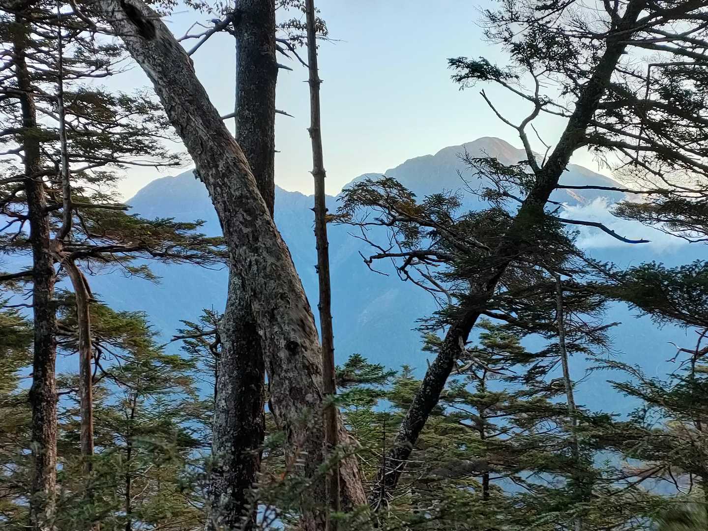 芝沢ゲート-易老渡-易老岳-三吉平-イザルガ岳-光岳 往復コースの写真