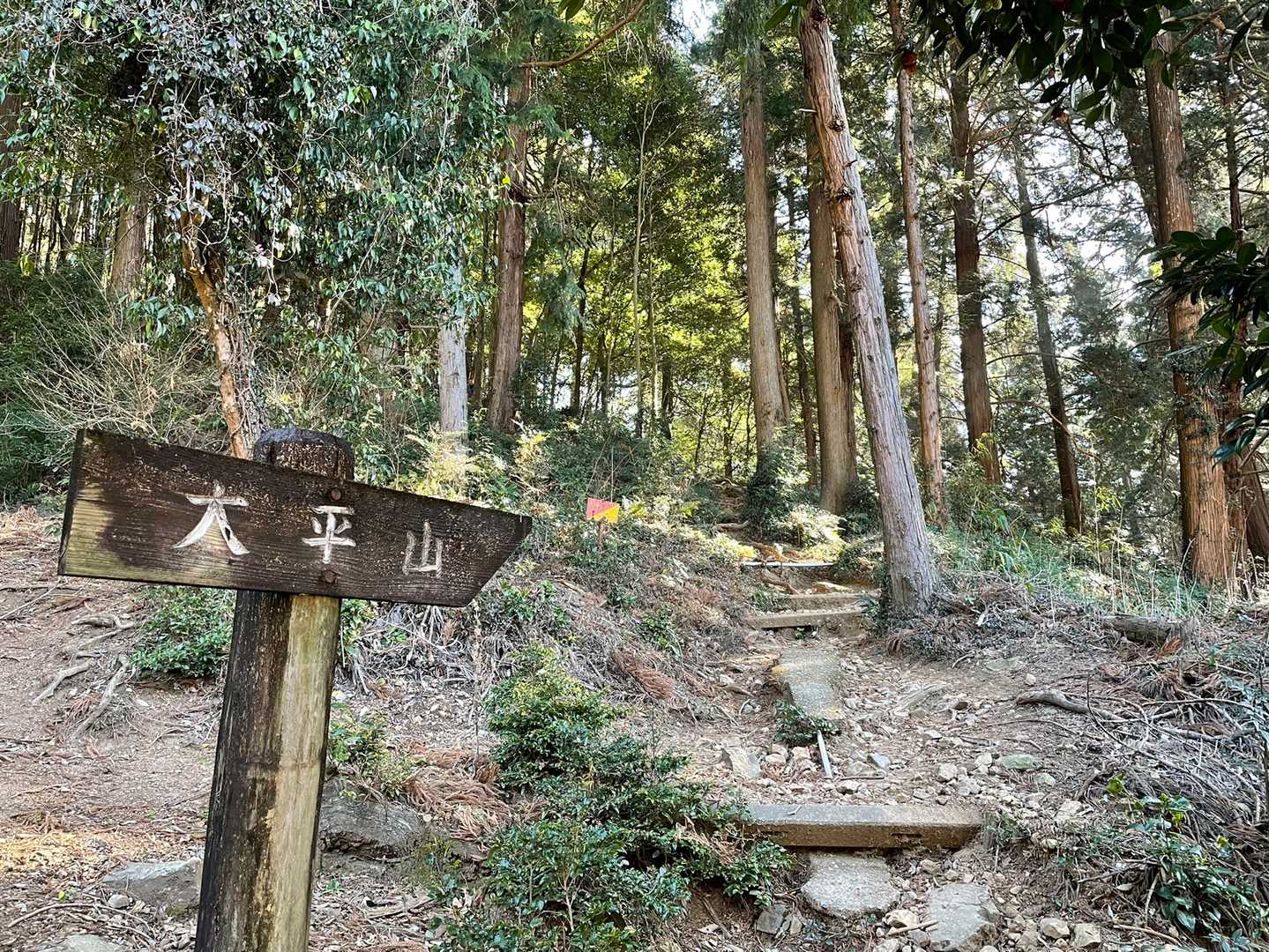 大中寺-太平山-ぐみの木峠 周回コースの写真