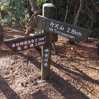 モチゴヤノ頭（だと思う）山頂。標高1040m。
