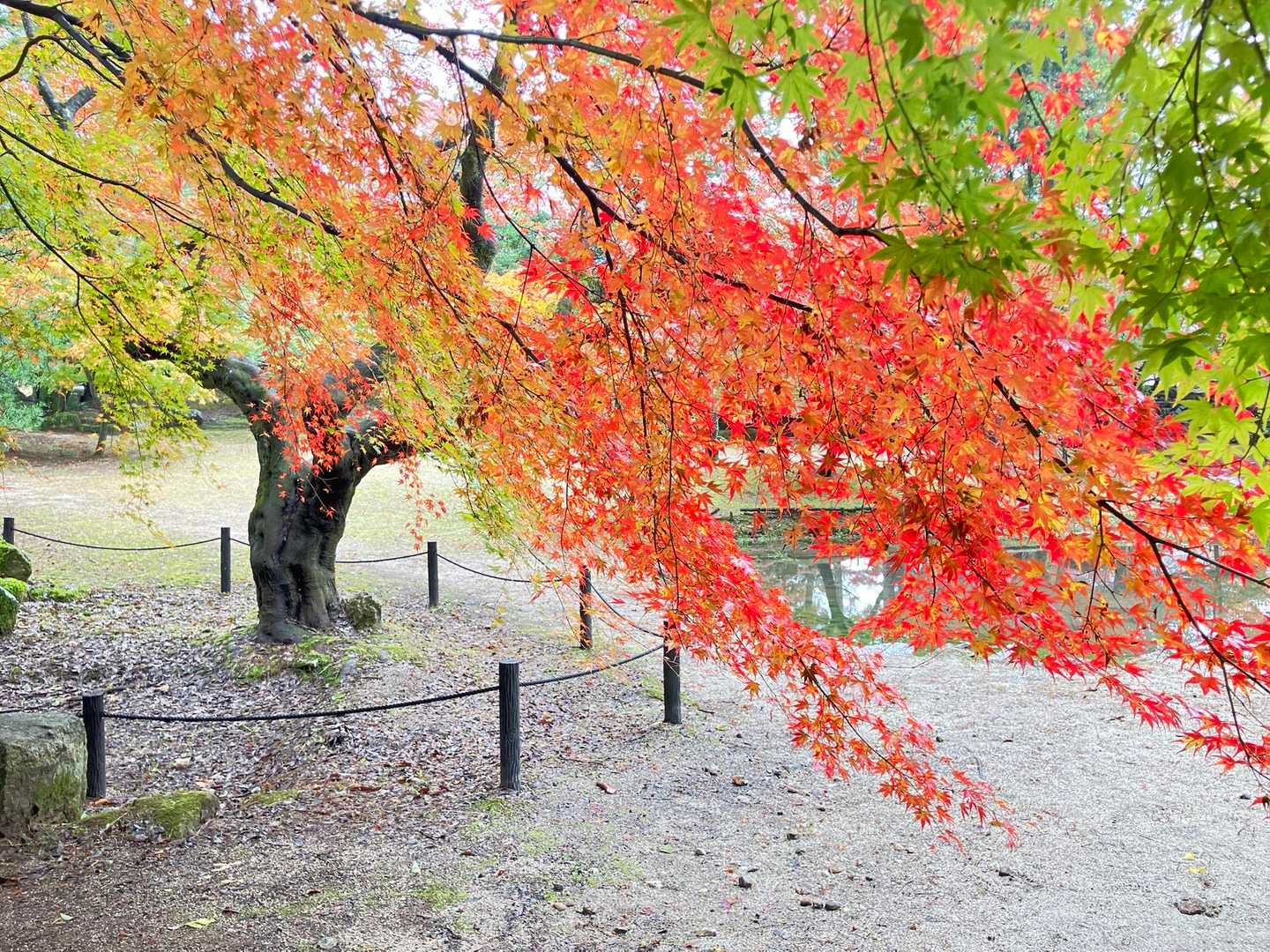 曽良山登山口-曽良山 周回コースの写真