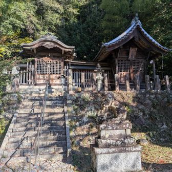 上がらせていただき、横が登山道