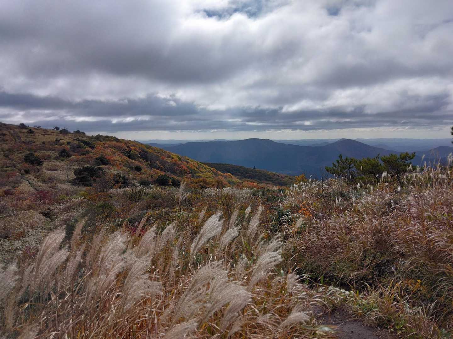 月見が丘登山口-岩樋山-道後山 往復コースの写真