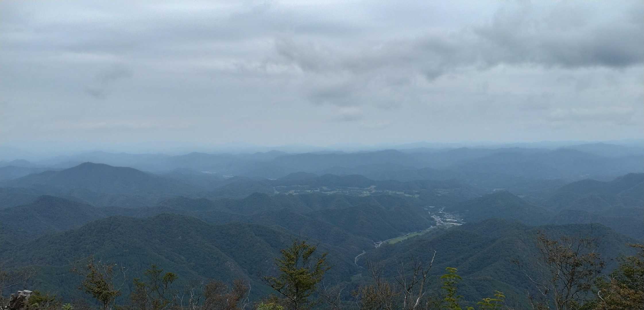 コッチもくもり☁