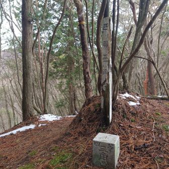 4等三角点ピーク、ここまではひたすらの急登です