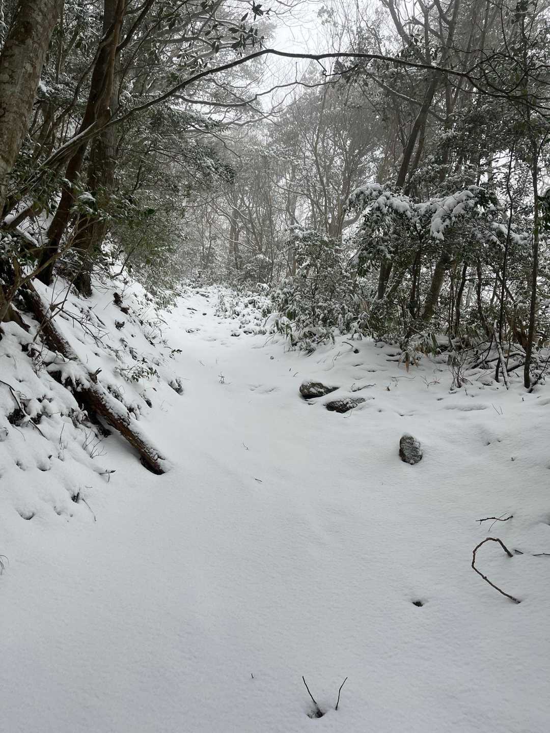 疲れがぬけていく〜