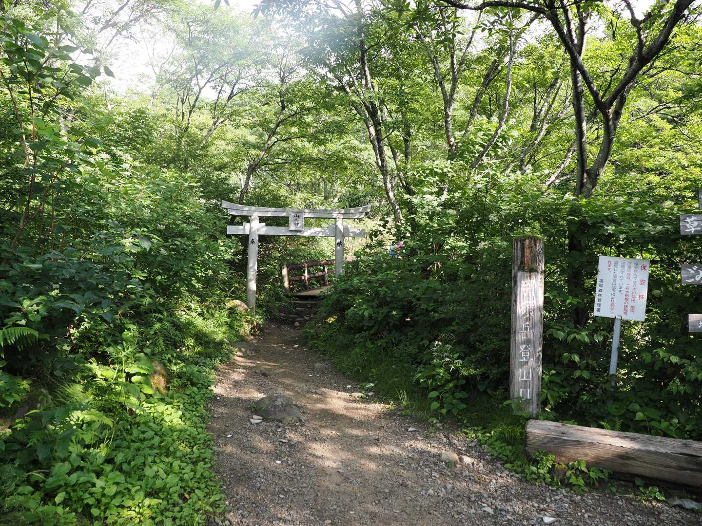 今日もありがとうございました🙏