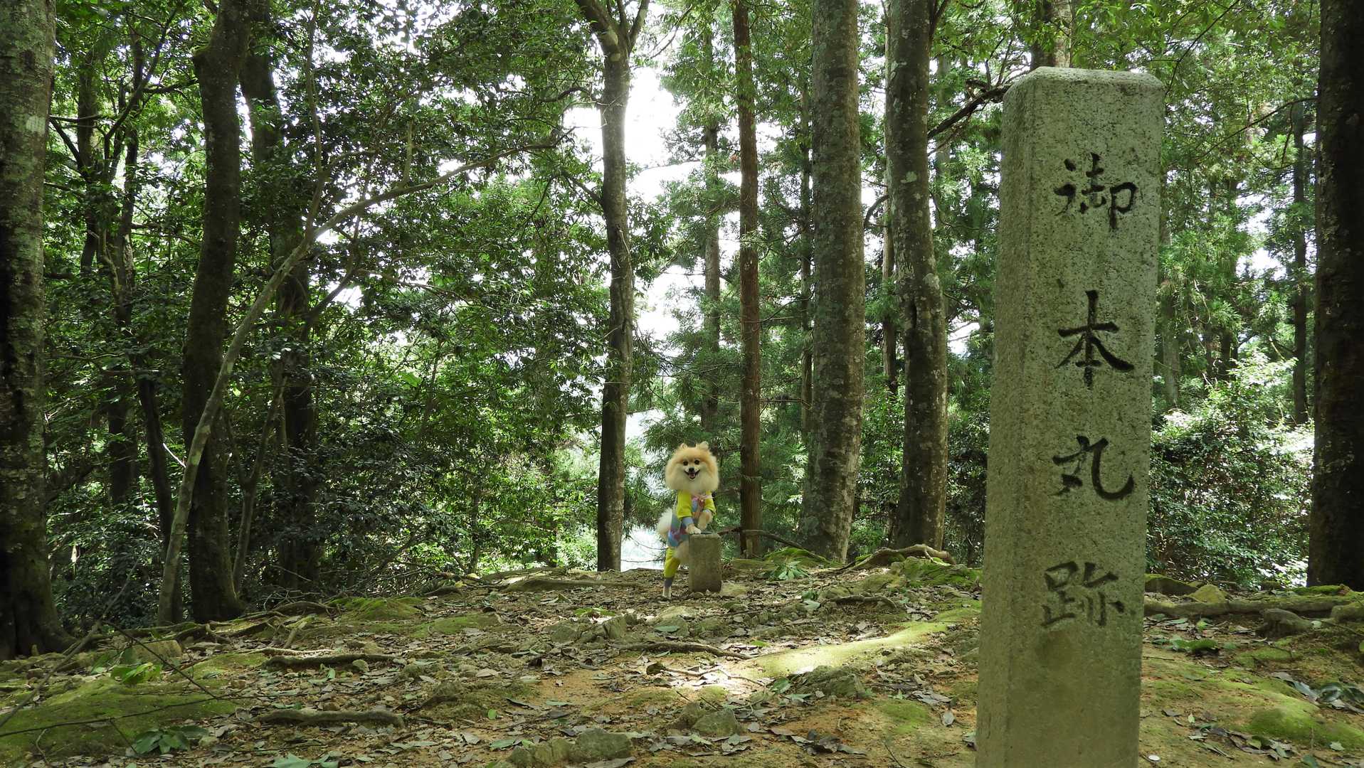 ⛰️三角点タッチ