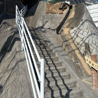 無事下山。七福神巡り再開！