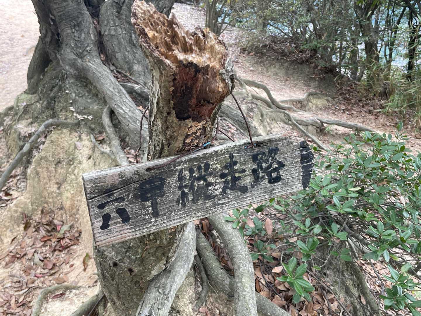 須磨浦公園駅前バス停-旗振山-鉄拐山-高倉山-高倉台登山口 縦走コースの写真