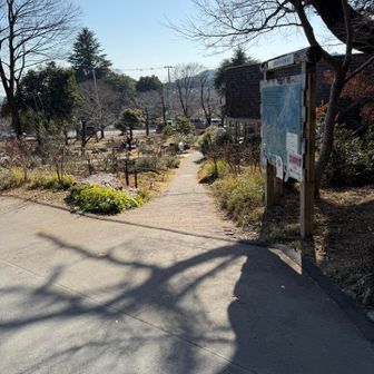 帰りはショートカット