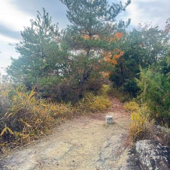 大平山山頂！
三等三角点がありました(・∀・)
