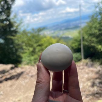 コウノトリの看板みたからか…コウノトリのたまご🥚に見えてしまう💦ﾀﾍﾞﾙｹﾄﾞ