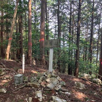 平石山頂上